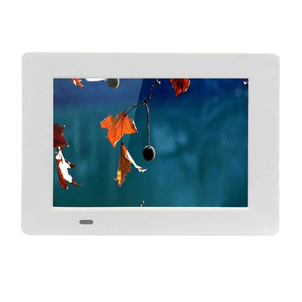 Electronic photo frame